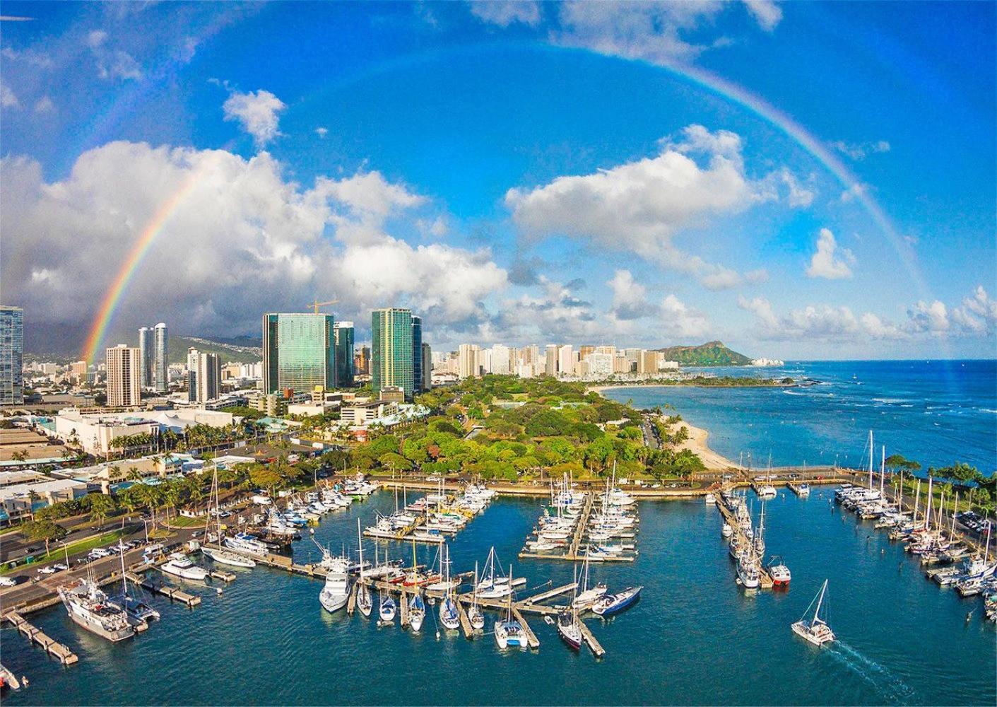 Ilikai Tower 1533 Yacht Harbor View 1Br Daire Honolulu Dış mekan fotoğraf