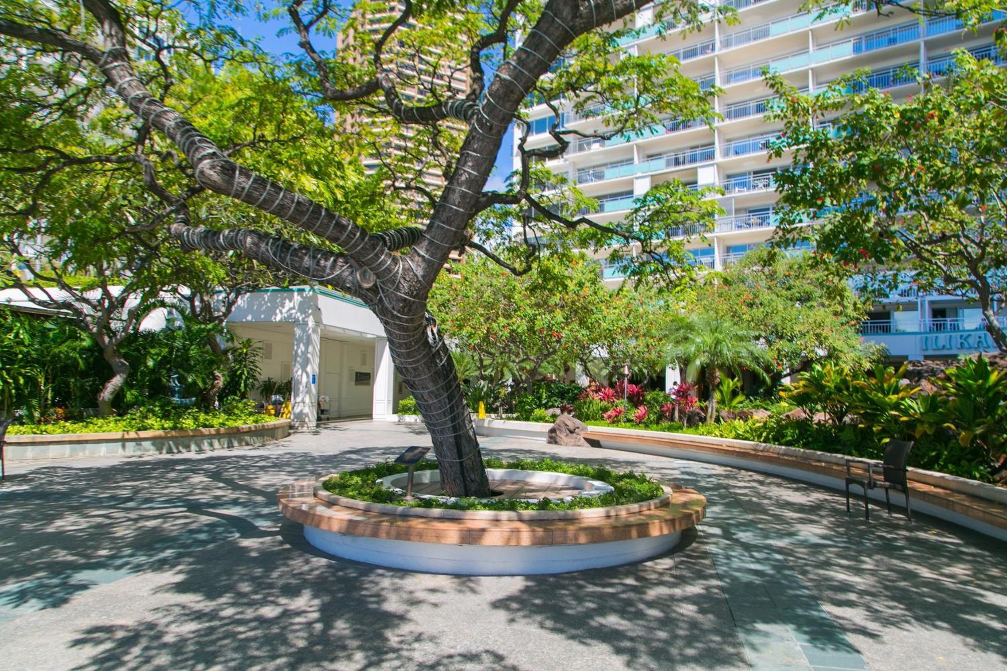 Ilikai Tower 1533 Yacht Harbor View 1Br Daire Honolulu Dış mekan fotoğraf